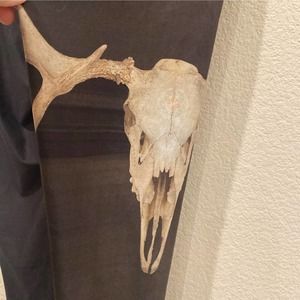 Teeki Black and Brown Leggings